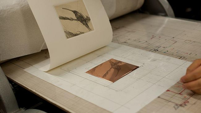 In due mostre i 30 anni della Scuola Il Bisonte