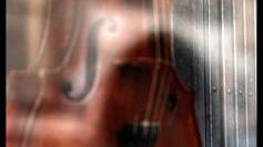 Undici preziosi stradivari in arrivo a Firenze