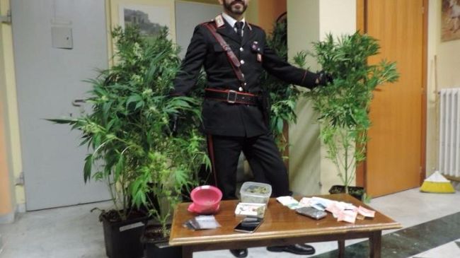 Droga fatta in casa: la stanza della marijuana