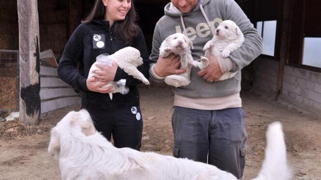 Parco nazionale delle Foreste casentinesi: mangimi naturali per animali