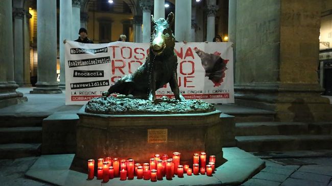 Ungulati: domani mattina il voto sulla proposta di legge regionale