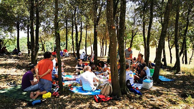 La legalità invade Suvignano con il primo campo di lavoro