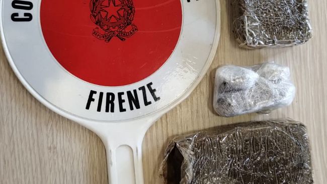 Oltre due etti di sostanze stupefacenti recuperati grazie a Sirio