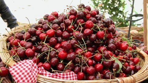 Agroalimentare: domani il Congresso Regionale di Legacoop