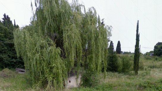 San Gaggio: il Comune ha perso un terreno demaniale?