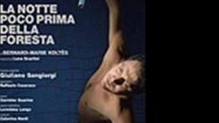 Claudio Santamaria in ''La notte prima della foresta''