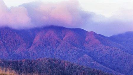 Sasso Fratino: 50 anni fa nasceva la prima riserva naturale integrale in Italia