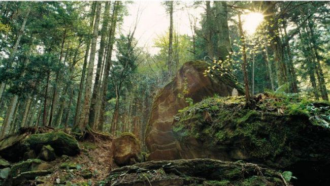 Le immagini della più antica riserva integrale italiana