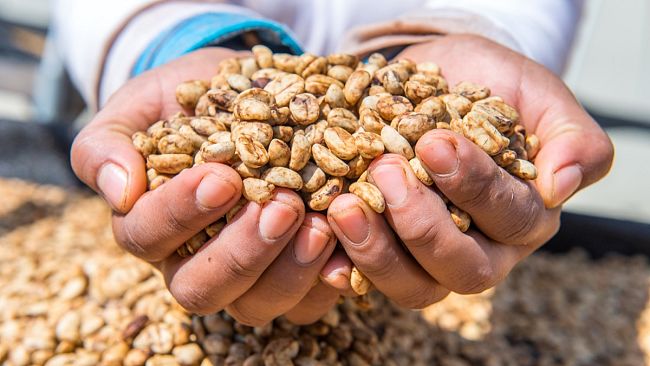 Ditta Artigianale atterra in Bolivia