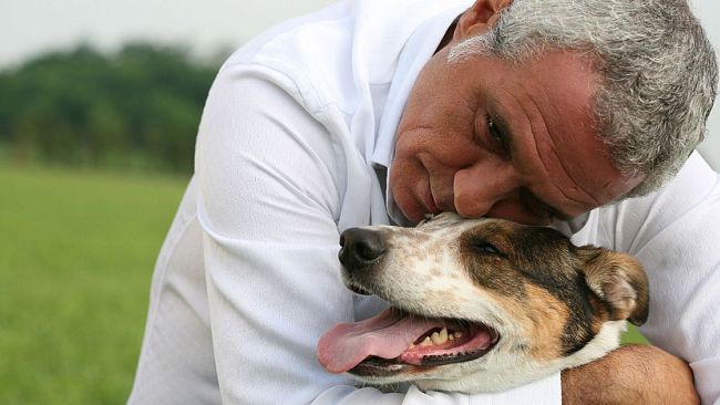 Igiene urbana veterinaria: azioni per animali d’affezione