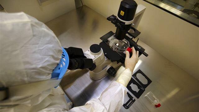 Promozione economica: il Comune cerca progetti innovativi da finanziare