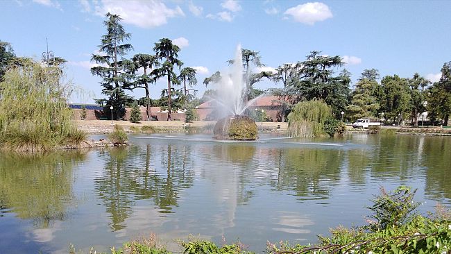 Contributi per gli alberi in città: l'elenco dei 63 Comuni