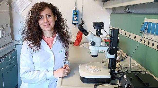 Colesterolo cattivo, nuova scoperta