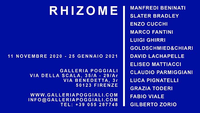 “Rhizome” alla Galleria Poggiali