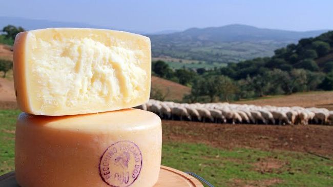 cresce-la-famiglia-del-consorzio-tutela-pecorino-toscano-dop