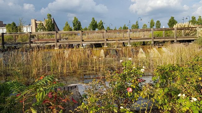 Parco di San Donato, una interrogazione al sindaco sulla manutenzione
