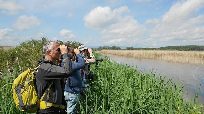 Padule di Fucecchio: dal 7 giugno riapre al pubblico il Centro Visite