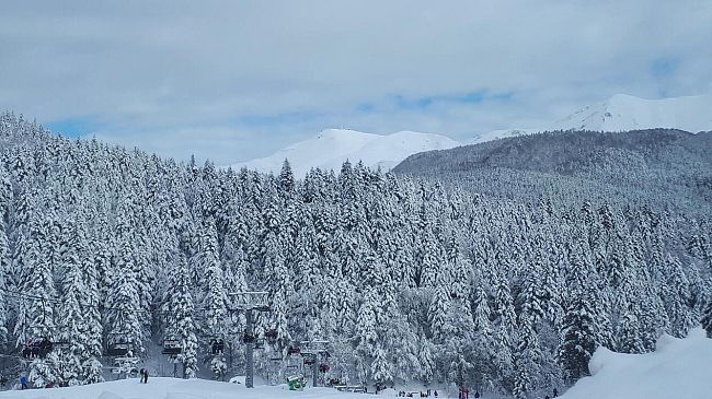 Pian dei Sisi: Regione finanzia studio dell'Università sulle cause della frana