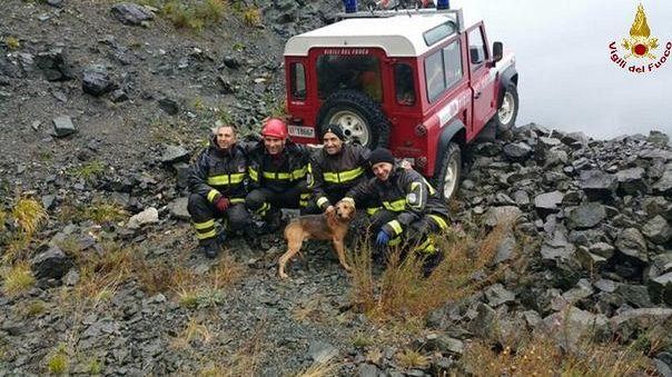 Salvato un cane al passo della Futa