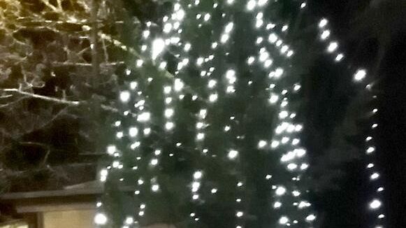 Albero di Comunità al Galluzzo: lo decorano i cittadini 