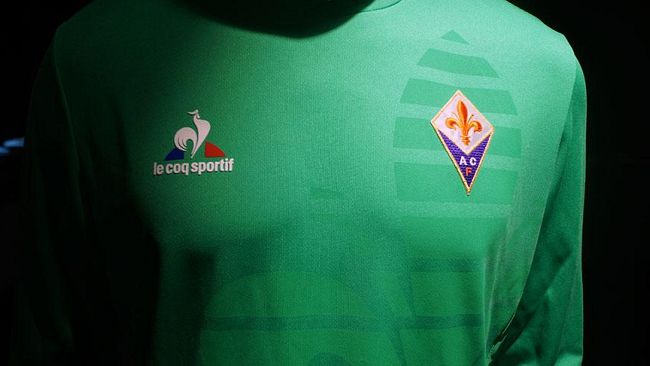 I Verdi non criticano la Fiorentina