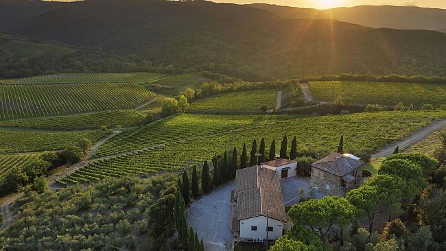 Benvenuto Brunello 2024