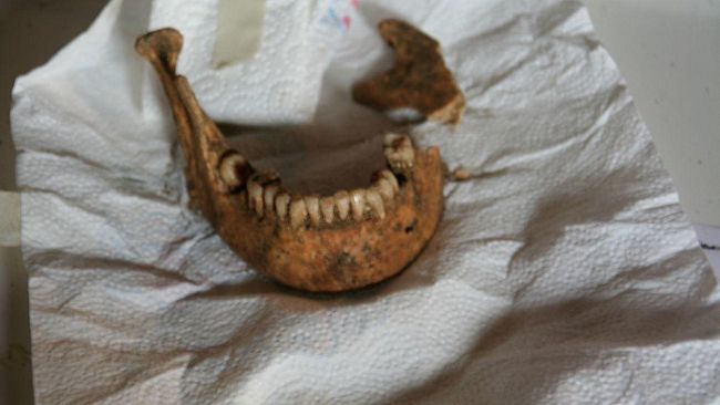 Trovato scheletro di donna, forse è Lisa