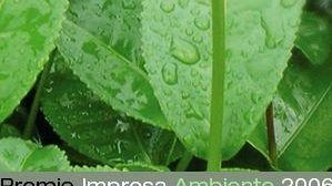 Responsabilità Sociale: la Toscana una delle regioni più attente all’ambiente