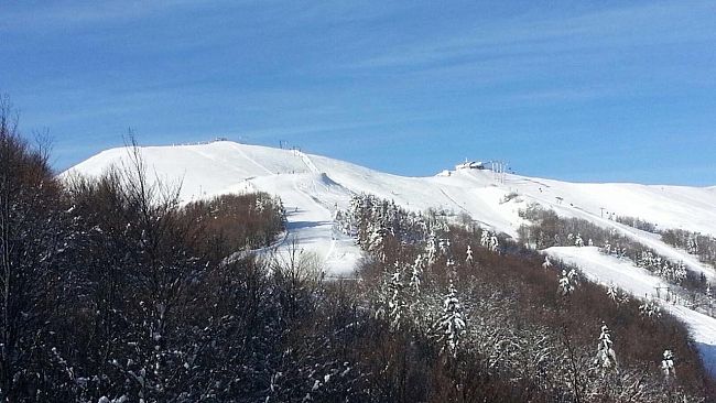 Domani allerta gialla per il vento a Firenze