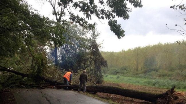 Maltempo in Toscana: intensa perturbazione, freddo e vento