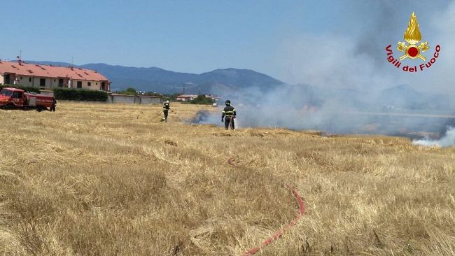 Prato, spento dai vigli del fuoco vasto incendio di sterpaglie