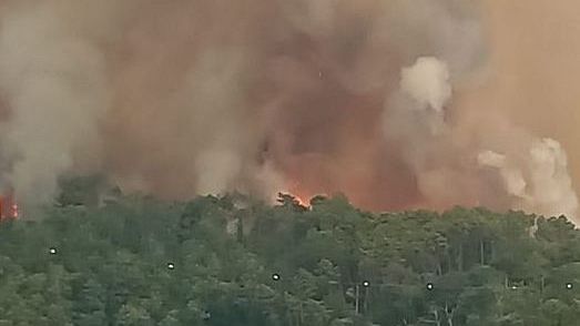 Incendio di Massarosa: in fiamme 860 ettari di bosco