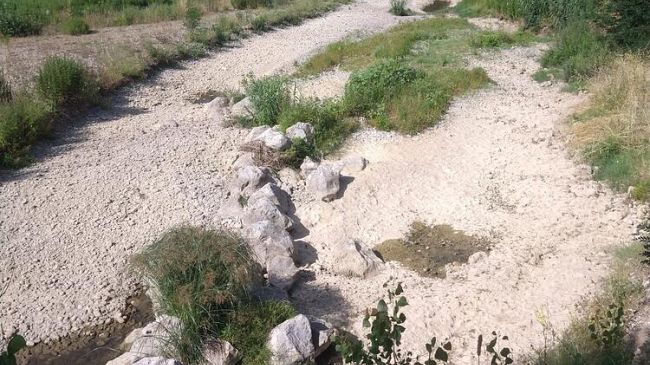 Siccità: la battaglia più grande si combatte al supermercato