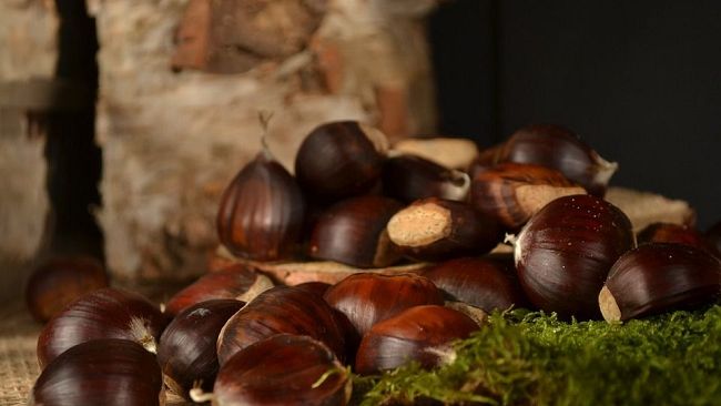 Sono tornate le castagne, in Toscana al via eventi e sagre