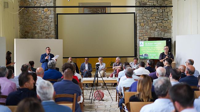 Agrivoltaico: multifunzionalità agricola e tutela del paesaggio