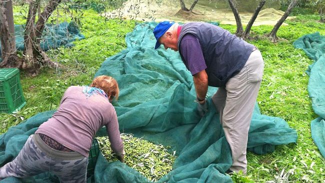 toscana-di-vino-e-olio-esportazioni-record-di-prodotti-agroalimentari