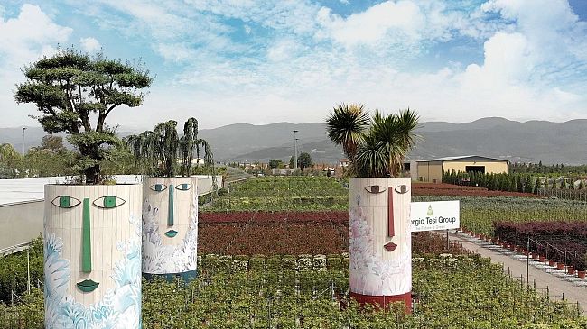 Distanziatori verdi in tempo di Coronavirus