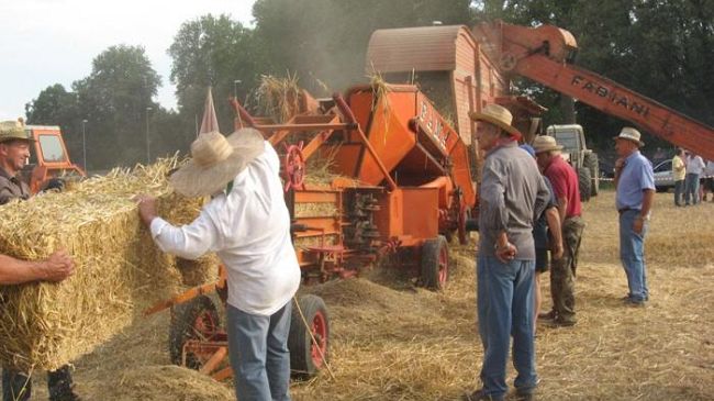 Festa della Battitura a Montemurlo