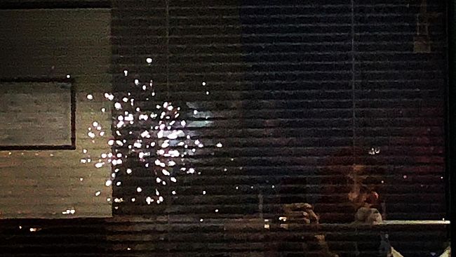 Iacopo Melio, auguri dal cuore di un Felice 2021: 