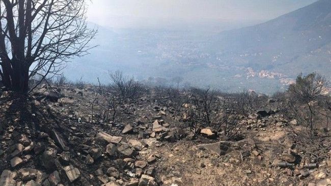 Caldo: oggi e domani massimo livello di rischio per gli incendi boschivi