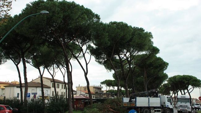 Livorno: 400 interventi di soccorso nella settimana del maltempo