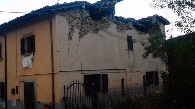 Psicoterapia: la ‘resilienza’, ovvero l’arte di superare i traumi