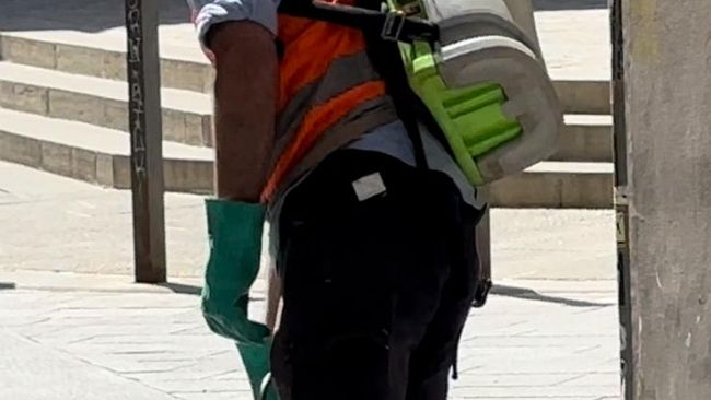 Prevenzione zanzare: Alia Multiutility in azione in 40 Comuni