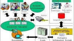 Con il sistema di telemedicina anche in montagna, in tempo reale, cartelle cliniche e referti<BR>Attivo a Villa Montalvo di Campi Bisenzio un innovativo servizio di accesso gratuito ad Internet