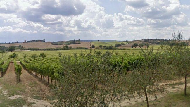 Maltempo, Confagricoltura Toscana: “Ultima batosta di un anno drammatico”