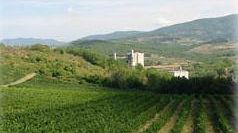 Sacci: il cementificio chiude per troppo rumore