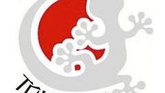 100 persone per 100 viaggi