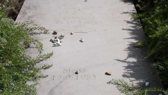 Italo Calvino: il 25° anniversario della morte