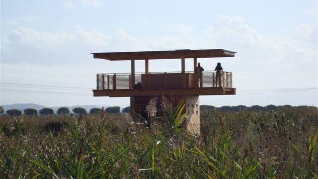 Andare al ristorante o disturbare la fauna selvatica in una Riserva Naturale?