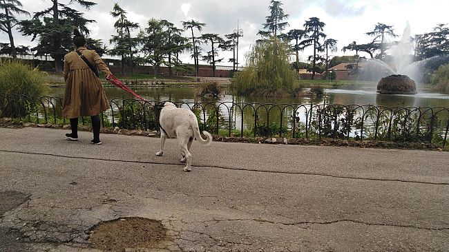 Ruota e pista ghiaccio: ok della Sovrintendenza